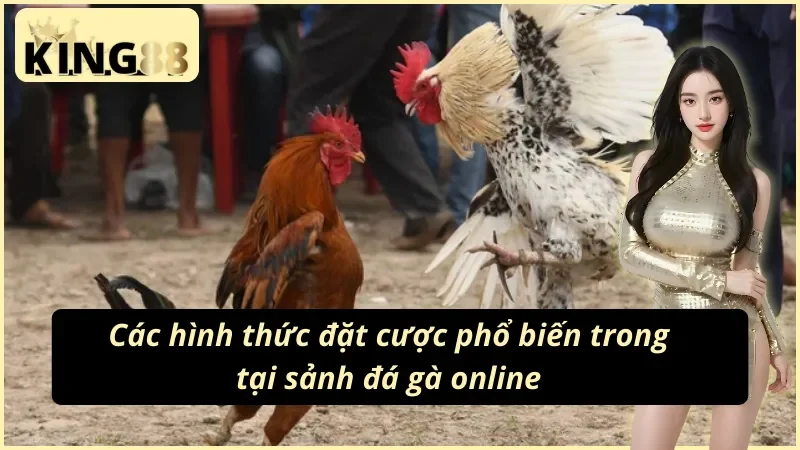 Một số hình thức đặt kèo đá gà King88 