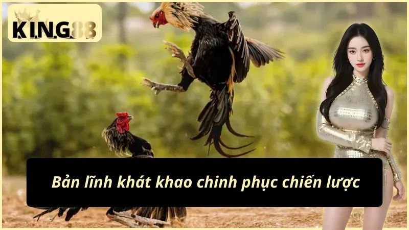 Khát khao chinh phục của cao thủ nhà đá gà cựa dao KING88